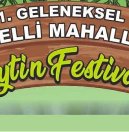 1. Girelli Mahallesi Zeytin Festivali – 24 Kasım 2019