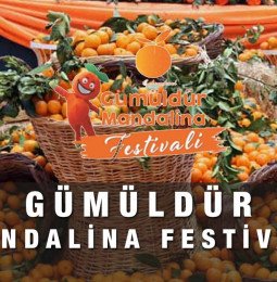 Gümüldür Mandalina Festivali 2021