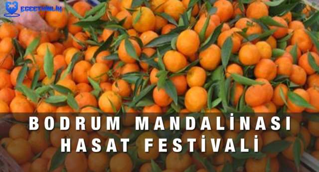 Bodrum Mandalina Hasat Festivali 2022