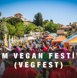 Didim Vegan Festivali 2022 (Vegfest)