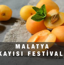 Malatya Kayısı Festivali