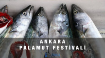 Ankara Palamut Festivali – Millet Bahçesi