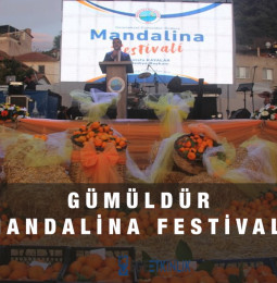 İzmir Gümüldür Mandalina Festivali