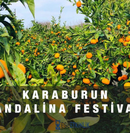 İzmir Karaburun Mandalina Festivali