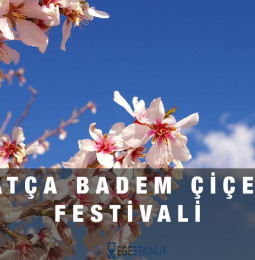 Datça Badem Çiçeği Festivali 2023