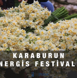Karaburun Nergis Festivali 2023