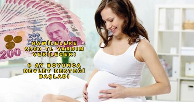 Hamilelere 6300 TL Yardım Verilecek! 9 Ay Boyunca Devlet Desteği Başladı