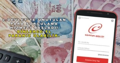 e-Devlet’te Unutulan Para Sorgulama Hizmeti Başladı! Binlerce TL Paranız Olabilir
