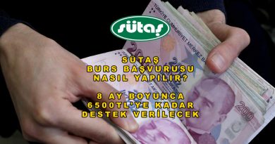 Sütaş Burs Başvurusu Başlıyor: Üniversite Öğrencilerine Aylık 6.500 TL’ye Kadar Burs