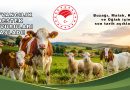 Hayvancılık Destek Başvuruları Başladı! Buzağı, Malak, Kuzu ve Oğlak İçin Son Tarih Açıklandı