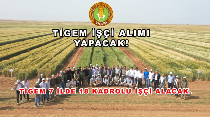 TİGEM 7 İlde 18 Sürekli İşçi Alacak: Başvurular İŞKUR’dan